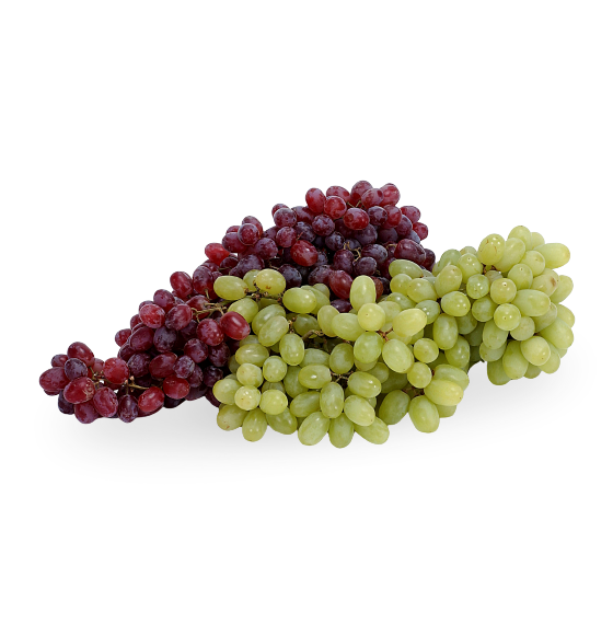 Feature Grapes