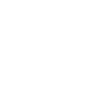 pomegranate (1)