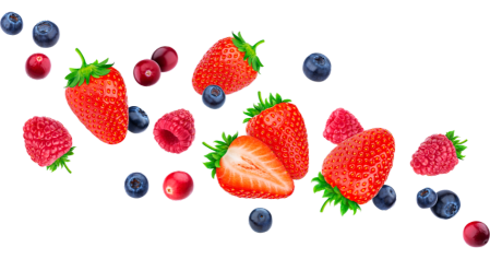 Untitled design (3).png555