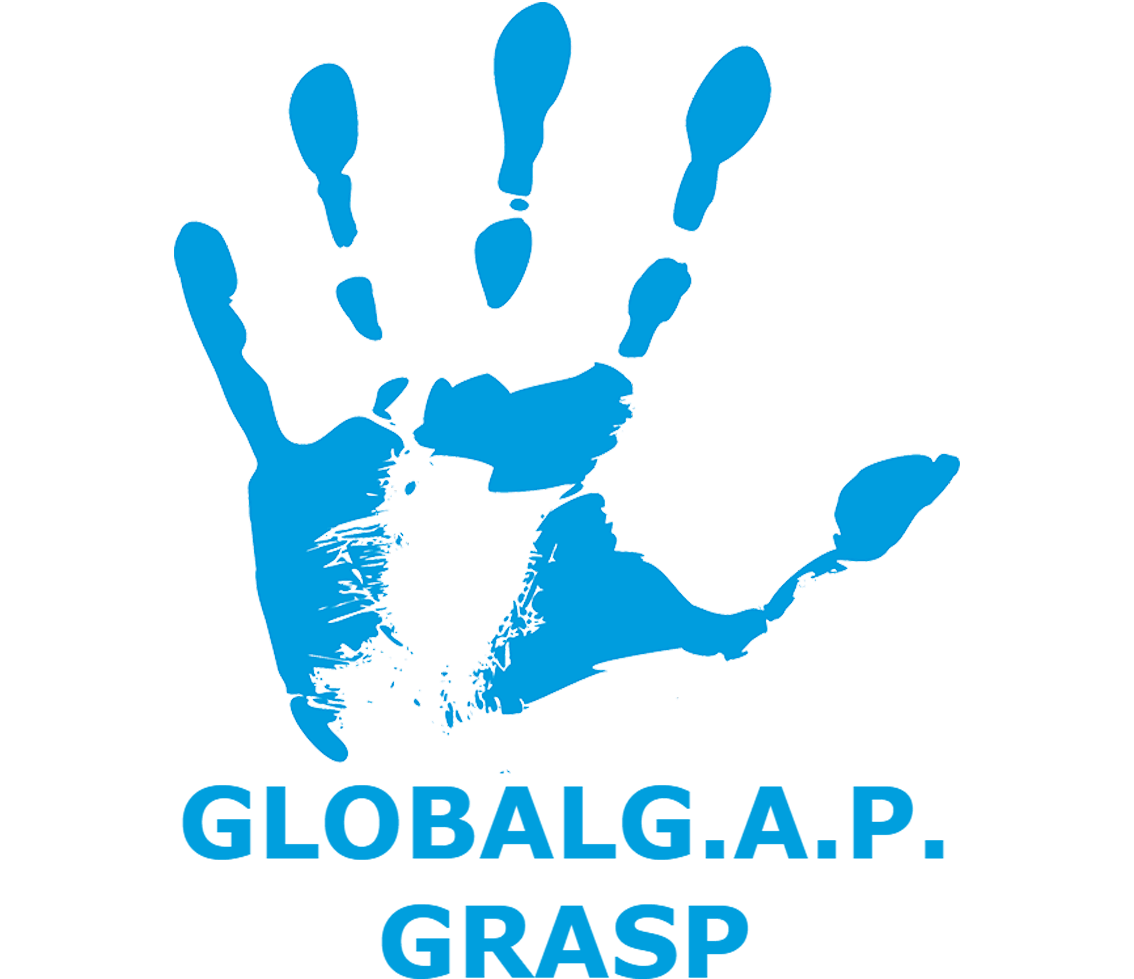 GRASP_Synfaring