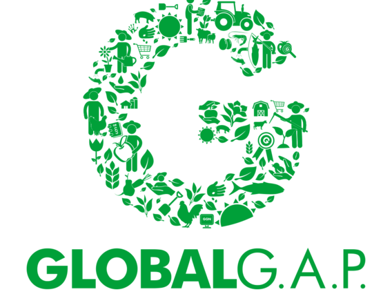 csm_GLOBAL-GAP_a9655075fd