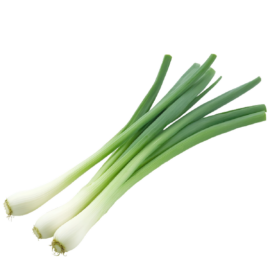 Spring onion